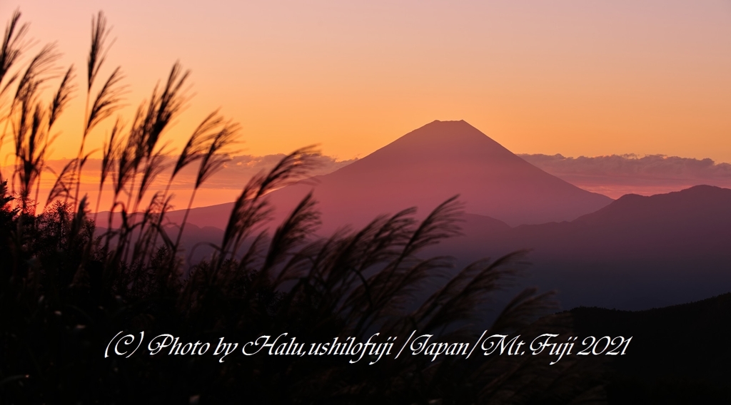 峠の朝景