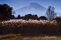 ピーカン富士山