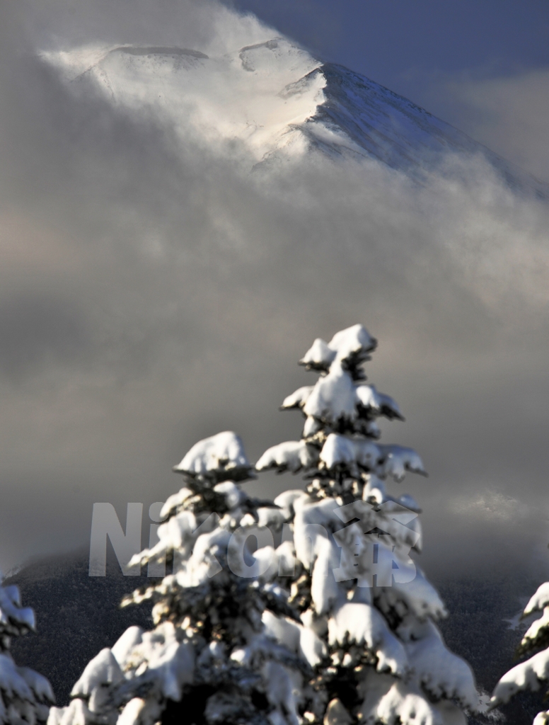 富士吉田/モンスターならず 
