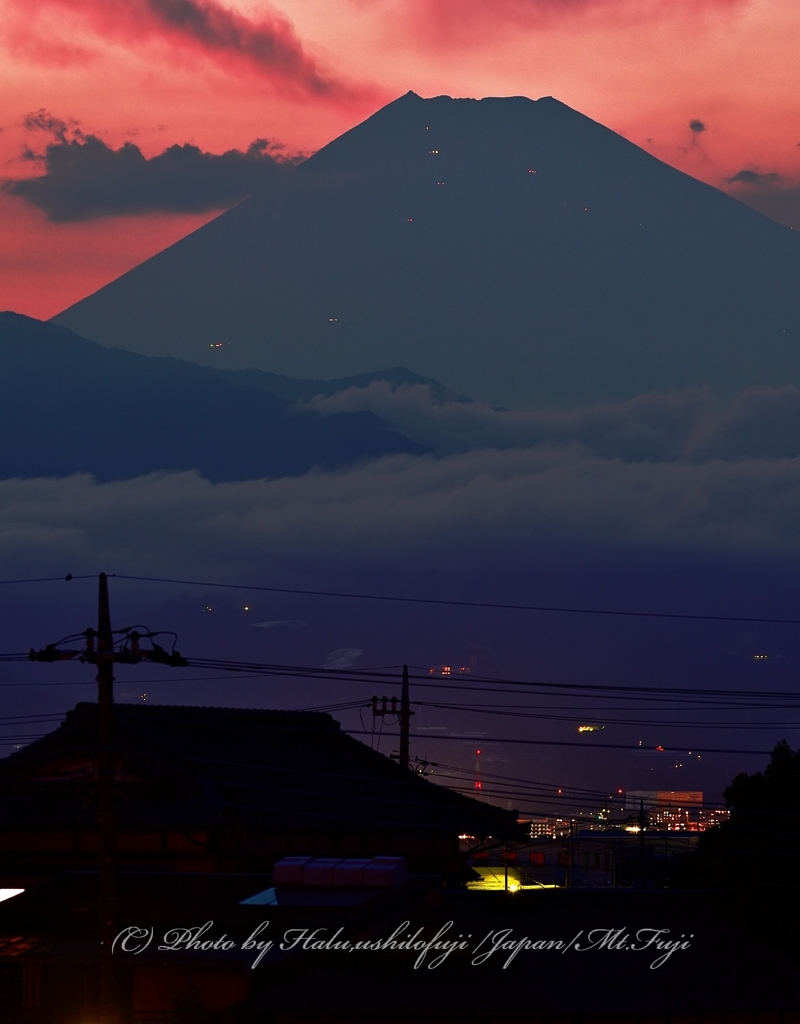 富士山共同生活