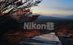 2013 10 27 美しの森　清里の森　Ｄ３ｘ (1)@s