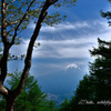 白い雲　白い頂