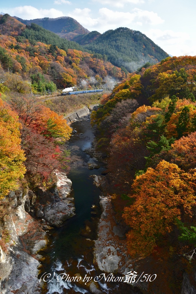 晩秋の諏訪峡