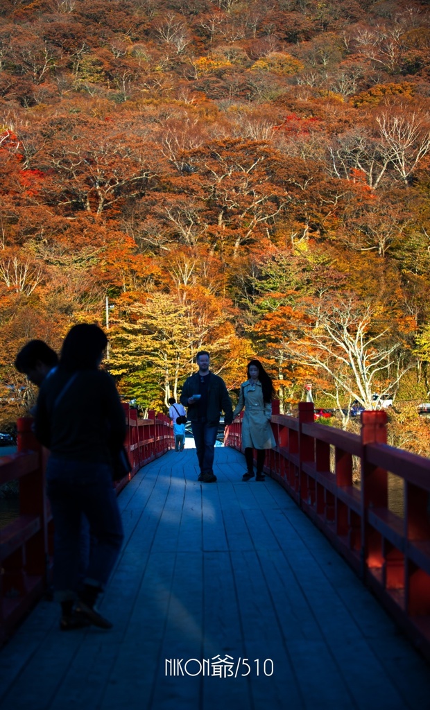 愛の架け橋