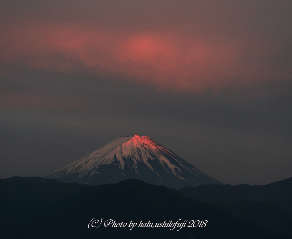 音無き淡紅