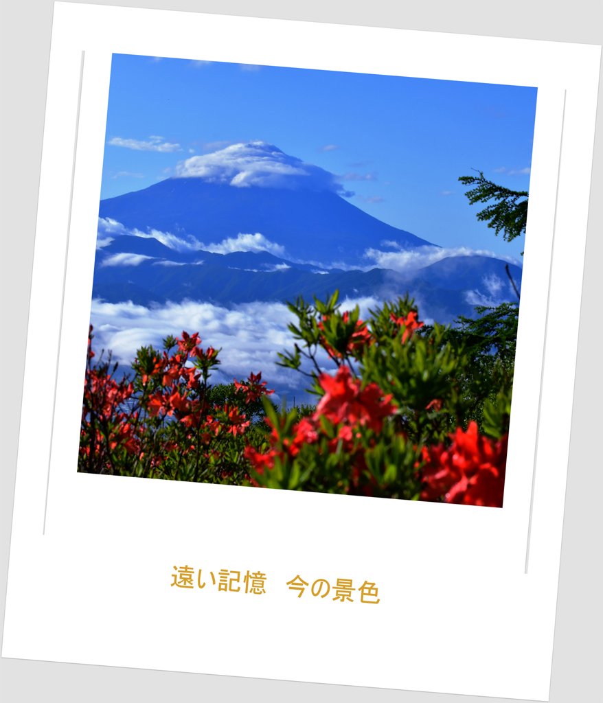 別れた高原