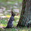 なんだろな。