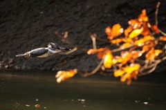 気をつけの姿勢