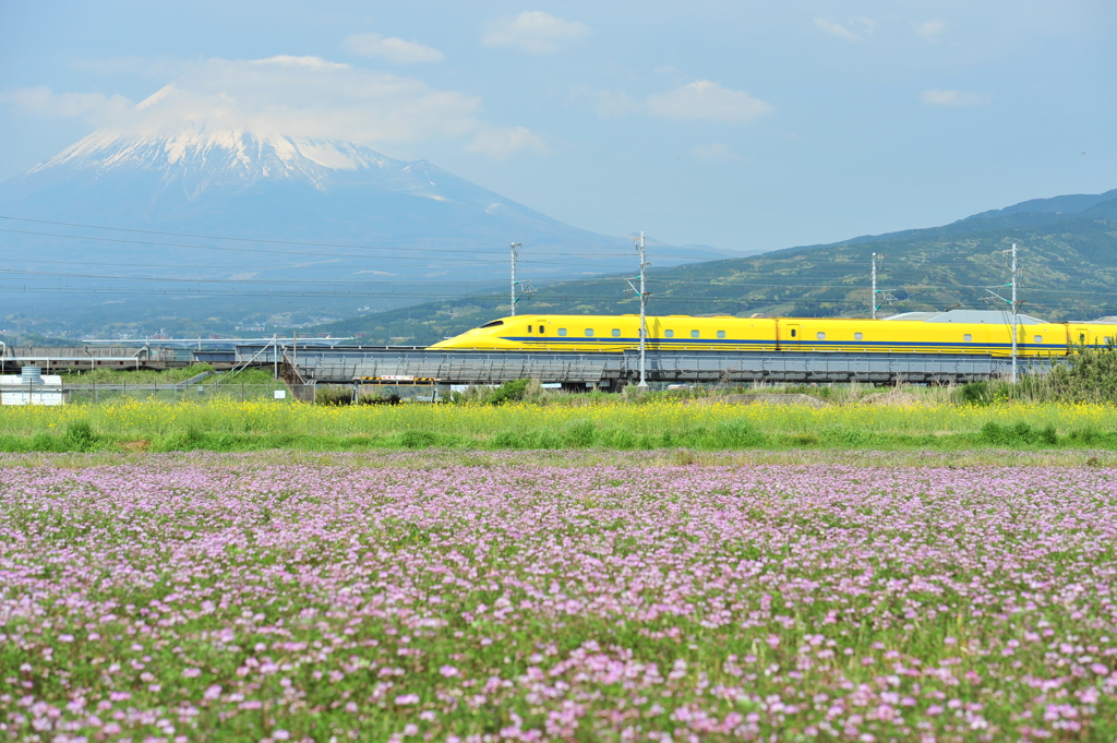 れんげ