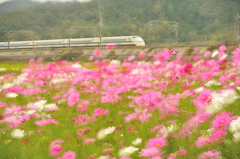 300系