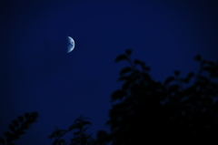 晩夏の月