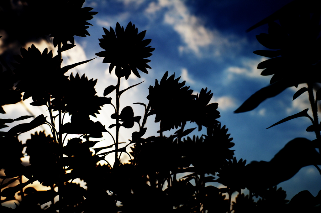 GEARS TO AUTUMN