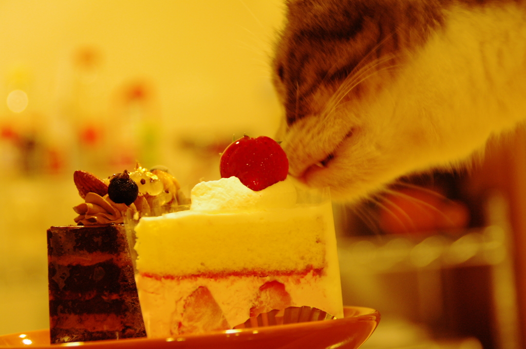 ケーキ！