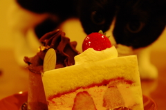 ケーキ♪