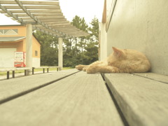 P1030010
