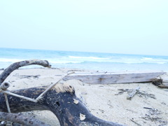 P1030044