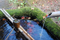 お気に入りの一枚。