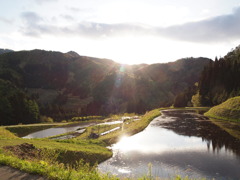 岐阜　棚田