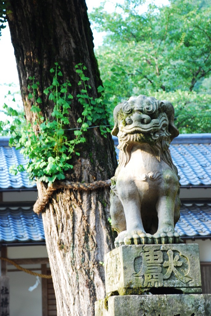 狛犬(うんの口)