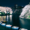 千鳥ヶ淵 2015