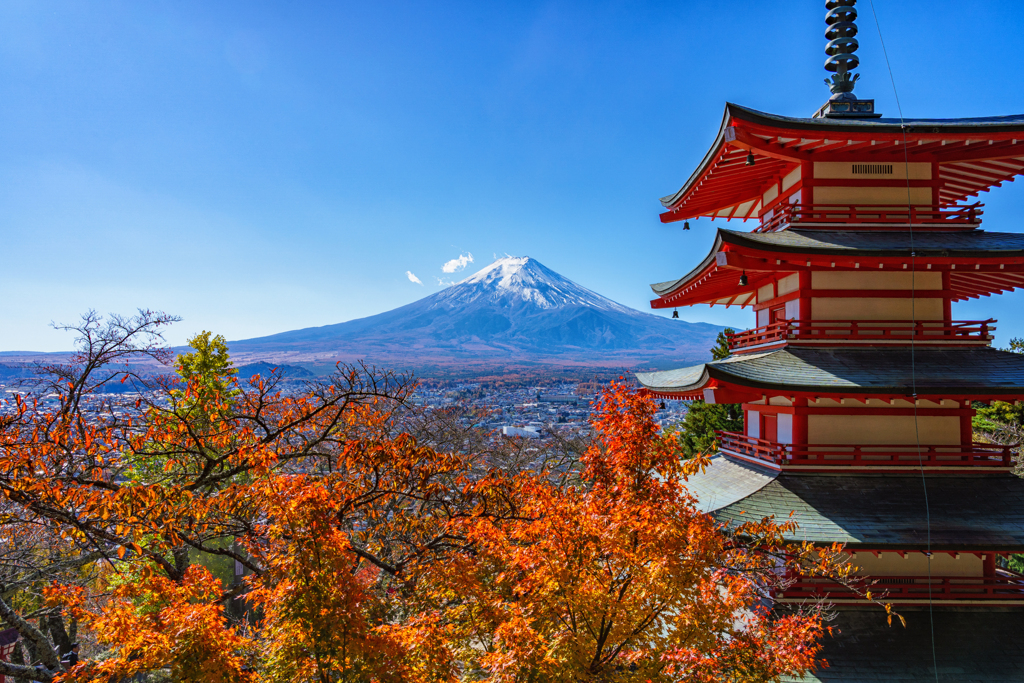 日本の秋