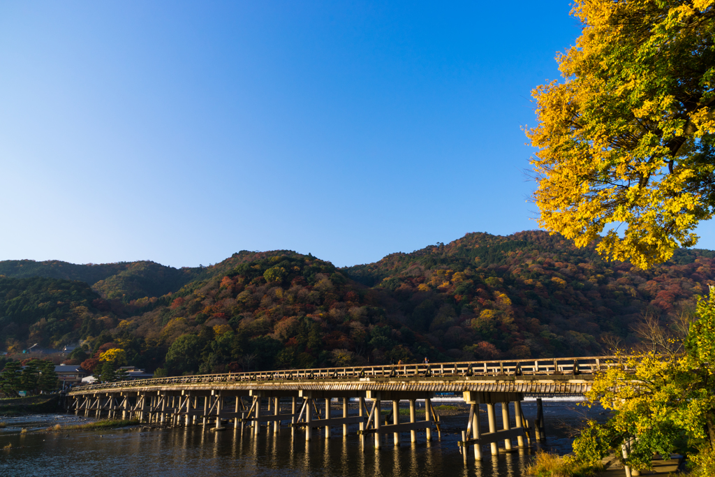 秋色渡月橋
