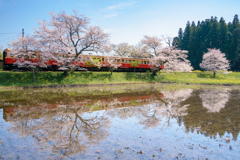 桜の咲く駅。