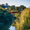 春の黄色