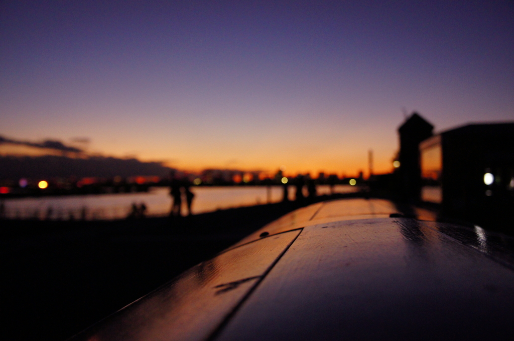 ゴミ箱からの風景