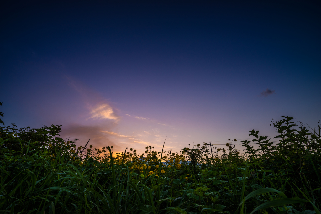 夏の夕日