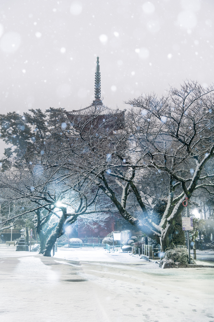 雪の法華経寺
