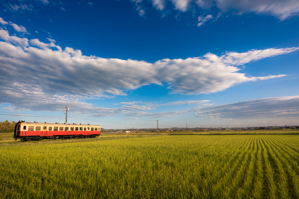 秋の小湊鉄道