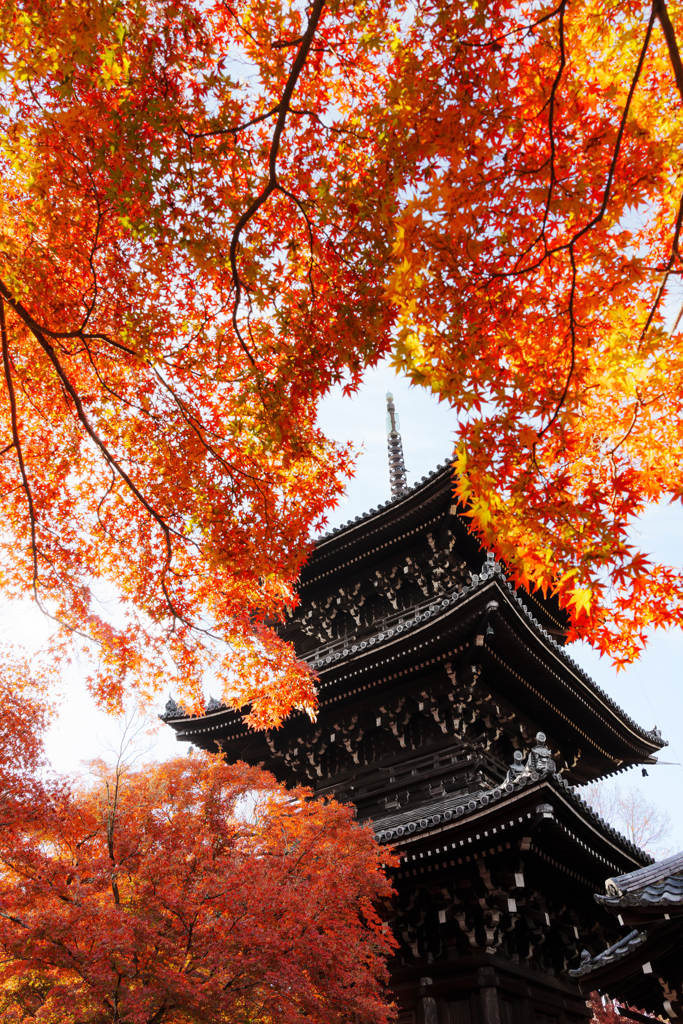 赤い紅葉、黒の三重塔