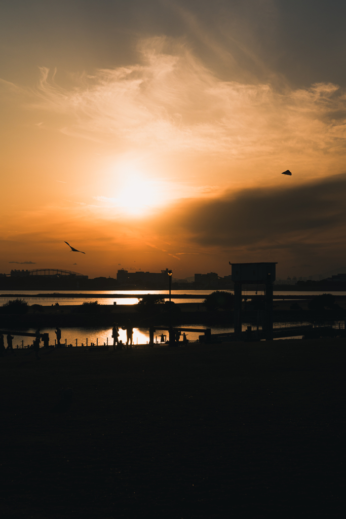 落ちる夕陽に上がる凧