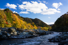 輝く紅葉の中に