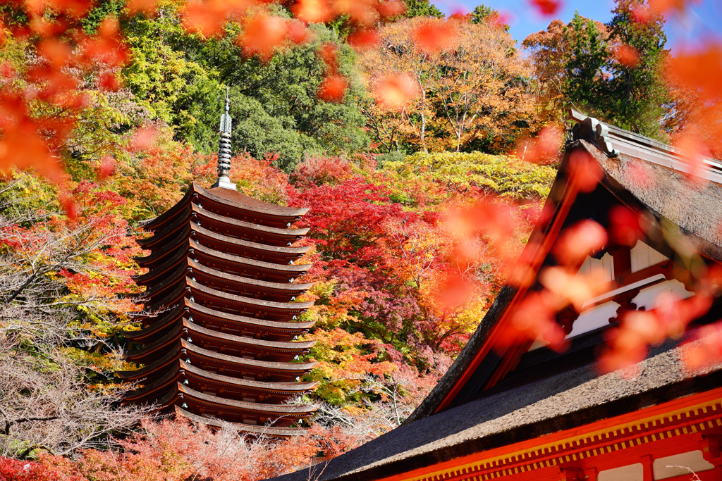 秋色談山神社