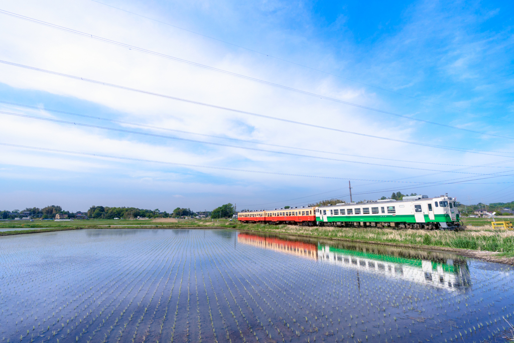 小湊鉄道さと山号