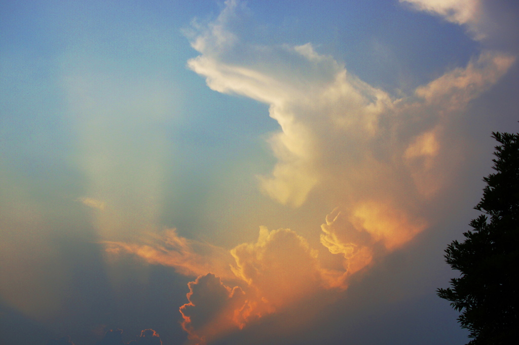 夏の空