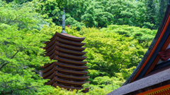 談山神社