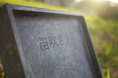 千差万別