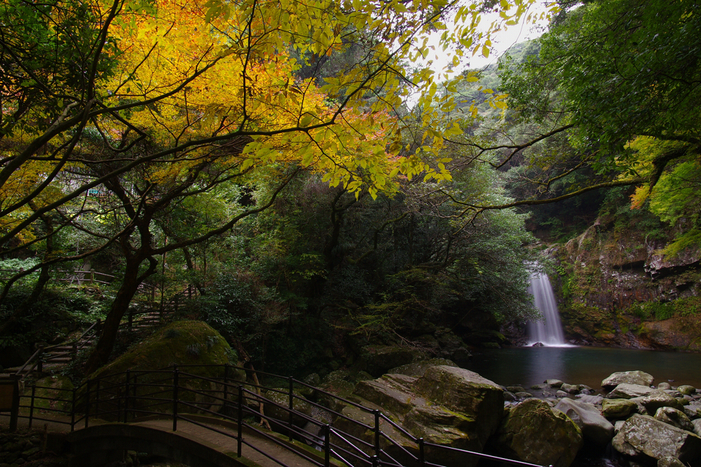 Todoroki Valley