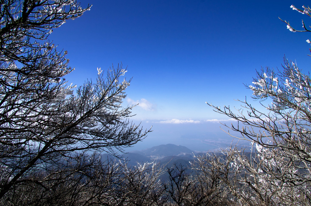 白と青