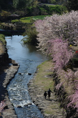 IMGP5709r