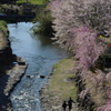 IMGP5709r