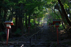 神宮への登り道