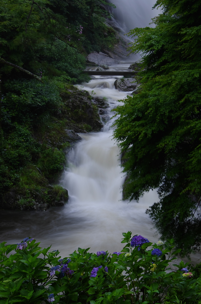 雨の滝