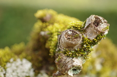 2012 03 19_0925