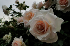 2010 05 22_0012
