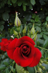 2010 05 22_0000