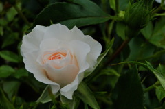 2010 05 22_0019